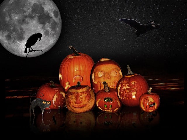 halloween pumpkins graphic