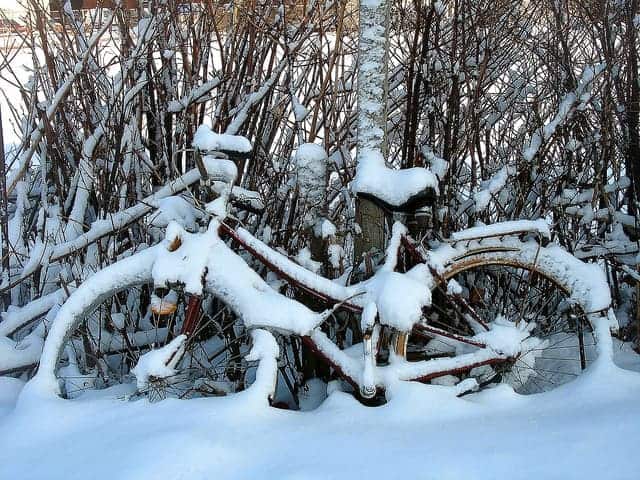 A bike sitting against a tree covered in snow.
